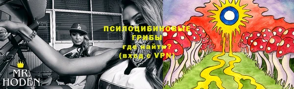 MDMA Premium VHQ Богородицк